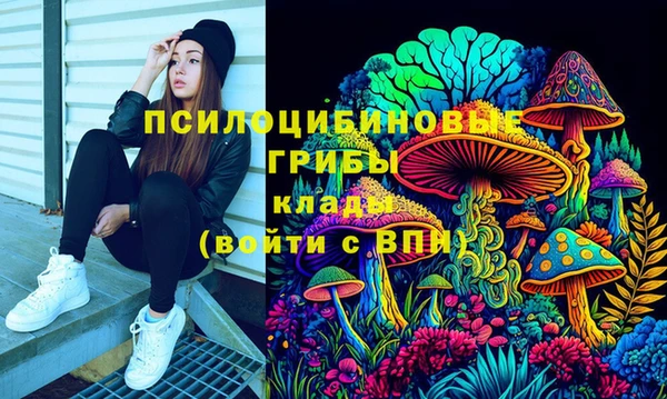 2c-b Кодинск