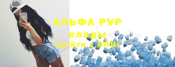 индика Лихославль
